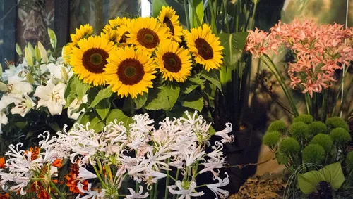 wim meijer fotografie img 1618 915x518 1