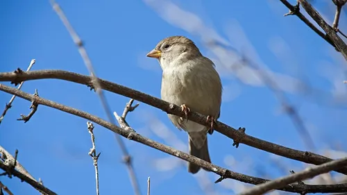 wim meijer fotografie mg 9410