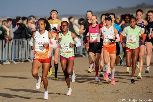 Haven Hailu de initiatiefnemer