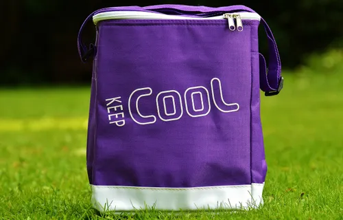 cooler bag 819092 1280