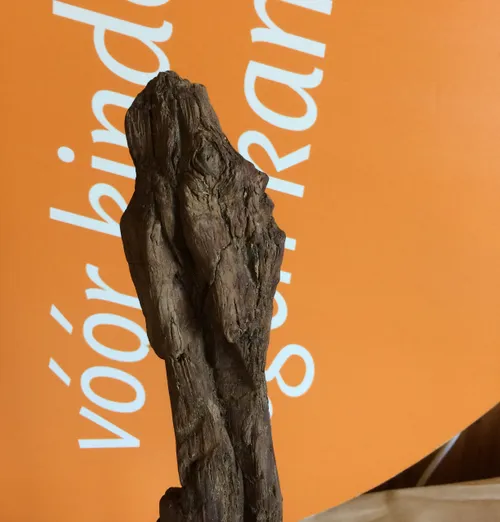 img 4236 e1521124893533