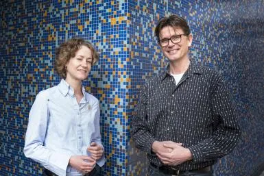 ubd ls stoorvogel en boes