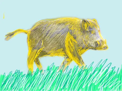 0904 chantal dewolde zwijntje