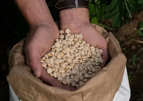 4427 d52dc27b405c49be0d2f0d83c000e258