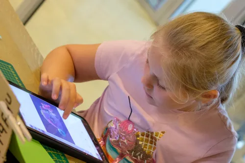 52220498489 2bad72f5ce k