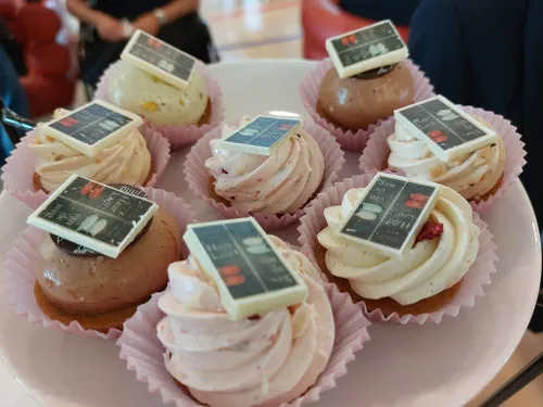 ella marjon boekpresentatie 5