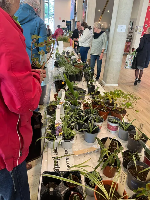 54446759830 ec6d8b82a2 o