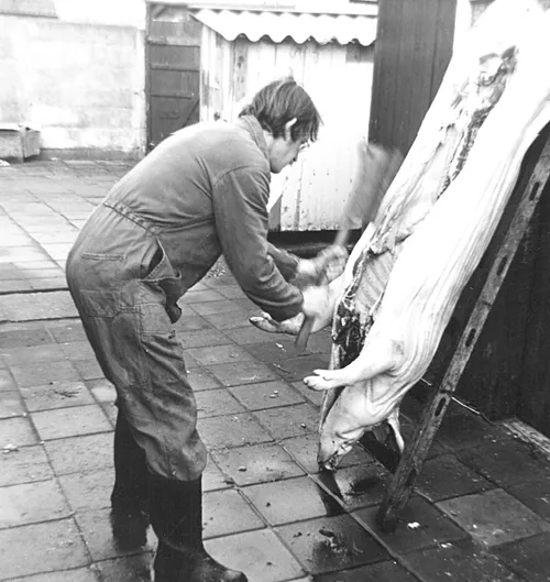 61 l 13 djept 64 was linde 10 vdven