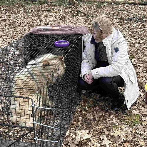 animalcare brabant zuidoost 02