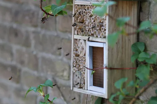 bijenhotelletje