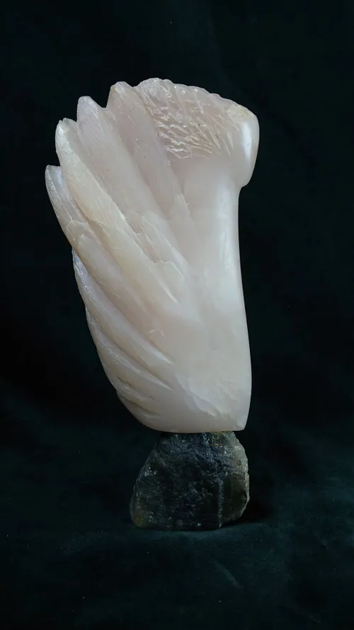 foto werk fieke quaedvlieg klein