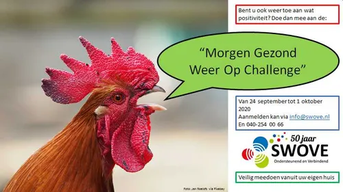 haan met tekst