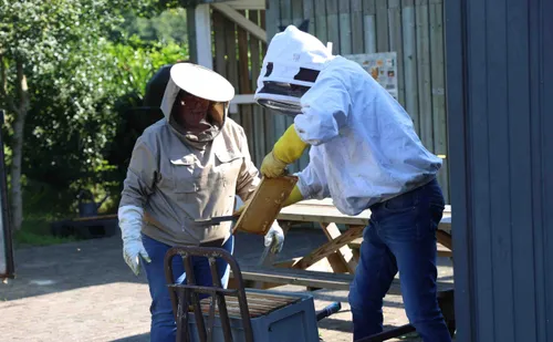 Nog een laatste controle op de aanwezigheid van bijen