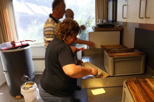 De honingslinger wacht op de schoongemaakte honingramen