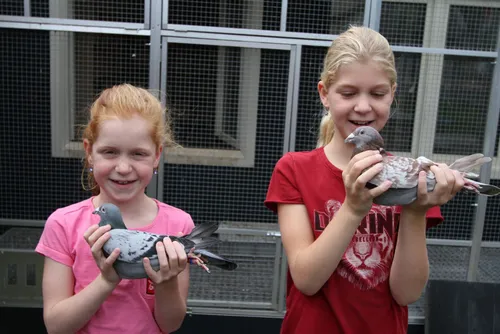 iris en lieke schreuder