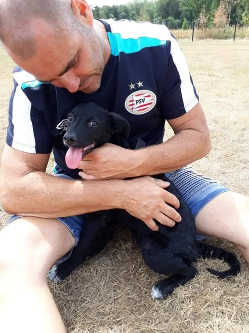 john zwijgers psv en animal in need