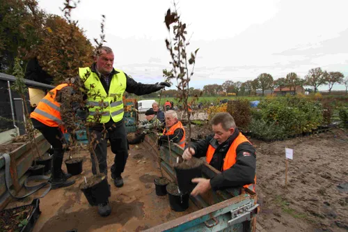 luchtzuiverende planten wintelre