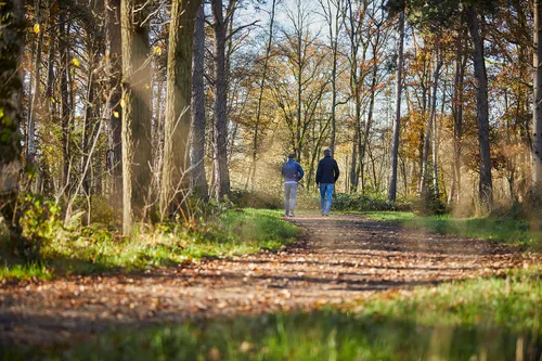 marcspruit durftegroeien 0120