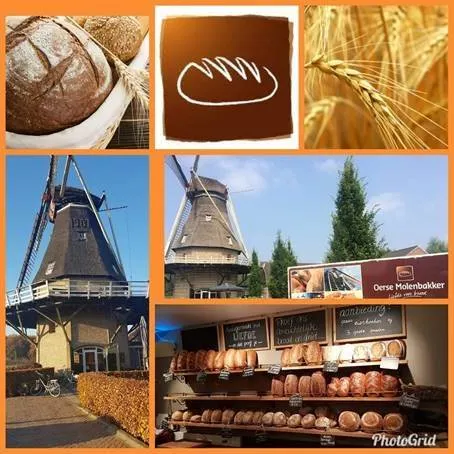 molenbakkerplaatje