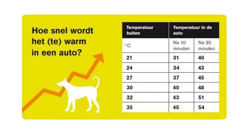 temperatuur auto