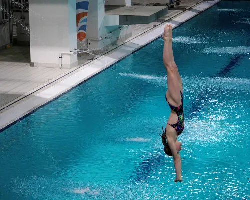 vieve foto michelle melskens