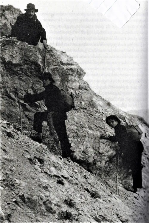 wereldwandelaarsalpen klein