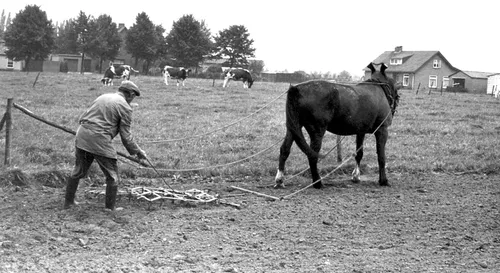 zonegge teule columnveldhovennieuws