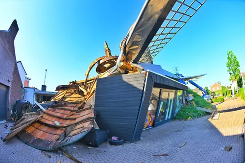 Zilster-molen-280626-02-Fotopersbureau Bert Jansen-Rico-Vogels