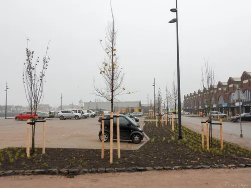 128353274 3437950642970844 2483758356816555349 o