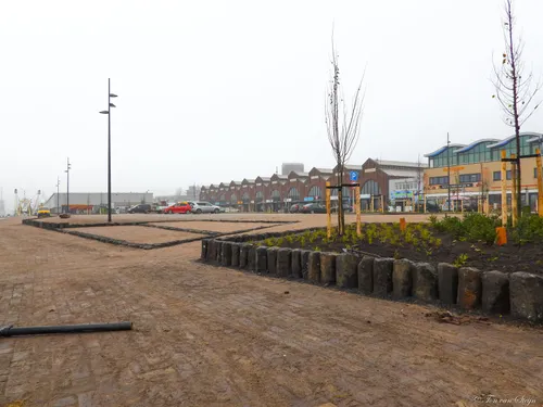 128767652 3437950662970842 909787906270744448 o