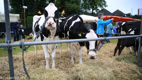 13909285 1169214646453331 1259181504343096271 o