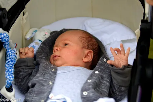 13920460 1169080386466757 6081459120584521215 o