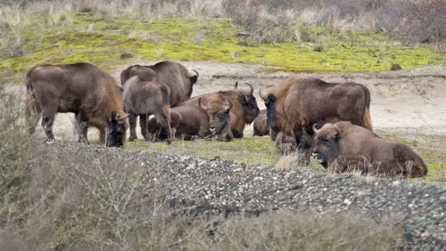 139915779 3563063497126224 7281526763082440982 o