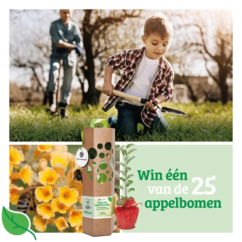 170742416 2951701038437039 3085207214917378812 n