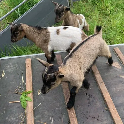 185011156 4004362246318403 35673931863988466 n