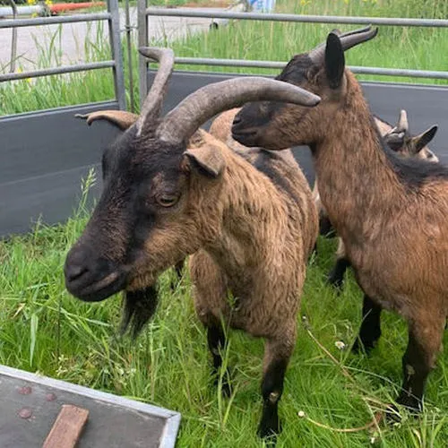 185163644 4004362336318394 8446898763993754739 n