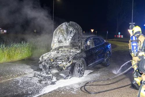 20240515 n202 brand 06