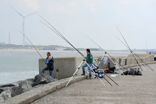 210512 smwn onderzoek sportvisserij pieren van ijmuiden 1
