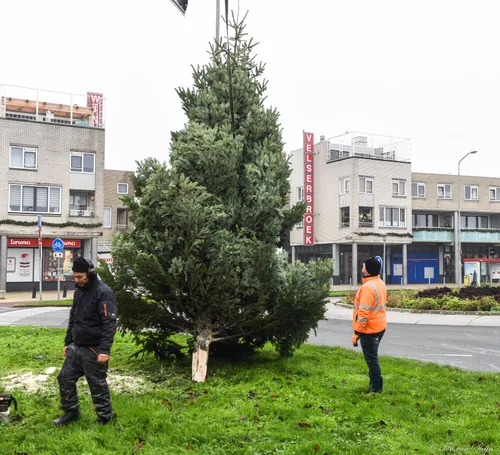 263464326 4500700903362474 5997272552787981814 n