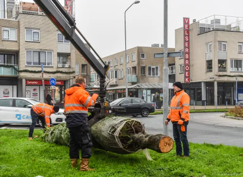 264404892 4500701026695795 7299577538582632540 n 1