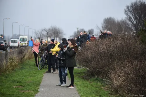 272687408 4694373483995214 2913256851798706305 n