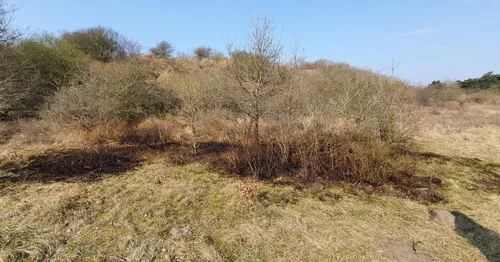 277079125 4870112649773143 2602766413301562783 n