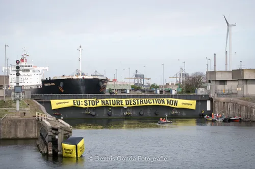 280194189 731292131549474 6905453554103584234 n