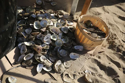 31950213 1874715002563041 6459513229864337408 o