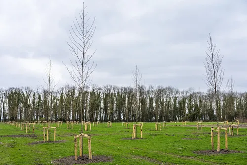 417560950 733779028877293 5318643331779935170 n kopieren