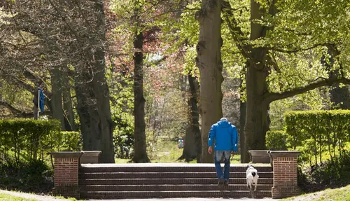 561532f8 1583 4e70 8404 4ce0282987fa banner