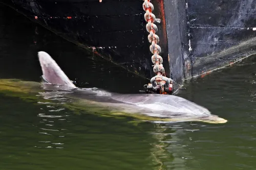 95723890 2841214035977844 2595495221403844608 o