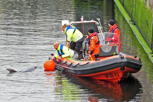 95818045 2841213922644522 2269911725132218368 o