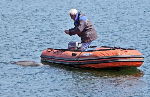 95928001 2843249332440981 2441768811347574784 o