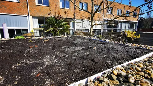 afbeelding 1 ingezaaid groen dak